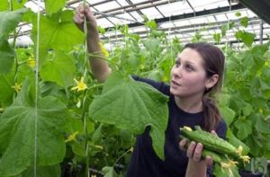 big-jpeg-20722184051