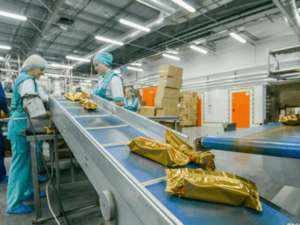 упаковщик чипсов, работа в Польше teeal.pl