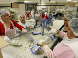 Pakowanie ciastek, praca w Polsce teeal.pl