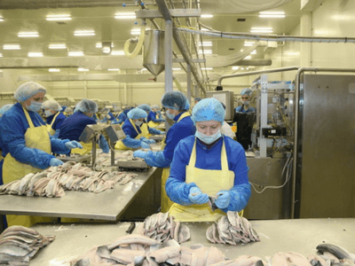 Bezpośredni pracodawca, praca przy rybach w Polsce teeal.pl