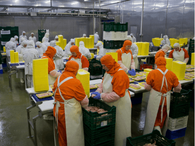 упаковка курицы, вакансия в Польше teeal.pl