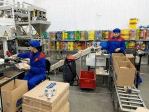 вакансия для женщин и семейных пар в Польше тиел