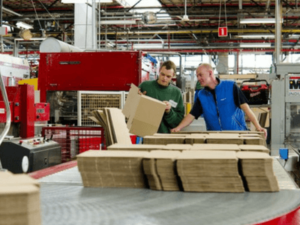 Rabotnik produkcii kartonnyh upakovok teeal