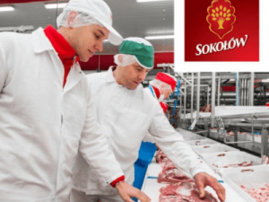 praca w zakładzie przetwórstwa mięsnego w Polsce SOkolow