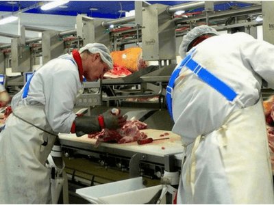 teeal Работа в Польше для мужчин на мясокомбинате