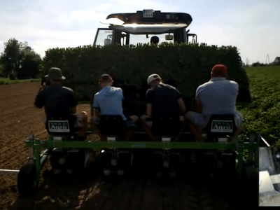 робота в Поле, сезонна робота в Польщі