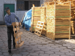 Praca Agrowood Polska