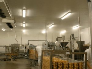 MISPOL работа в польше