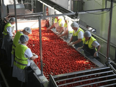 Переработка фруктов, Materne Polska