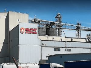 Работа с зерном, MŁYNY