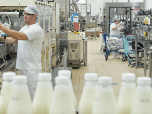 Упаковщик в Польшу, Bakoma