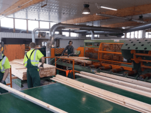 Współpracuje z drewnianą architekturą ogrodową, FOREST STYLE