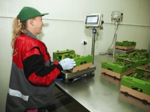 Нарезка и упаковка овощей, AMAZIS