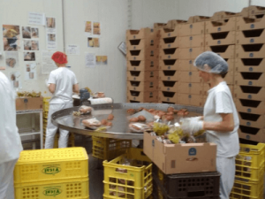 Производство хлеба, vital работа в Польше