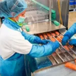 super salmon робота в Польщі працівник виробництва риби