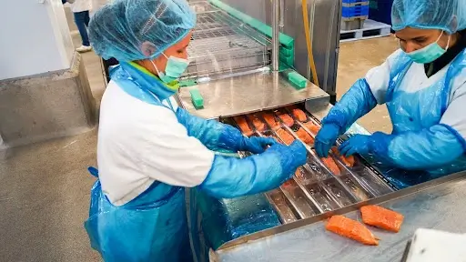 super łosoś praca w polsce pracownik produkcji rybnej