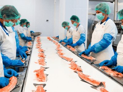 робота в Польщі, обробка лосося