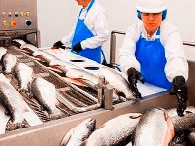 HERRING работа в Польше