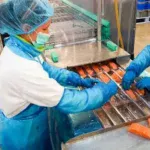 super salmon работа в польше работник производства рыбы