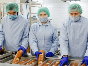 DOBROWOLSCY. Приезд по Польше работа