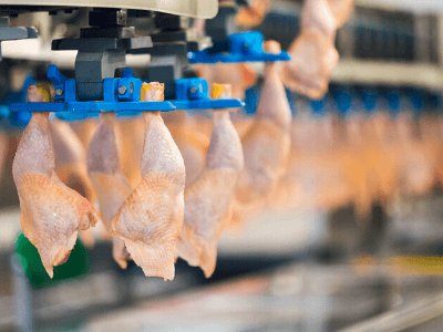 Работа на ковеере, мясо. PLUKON