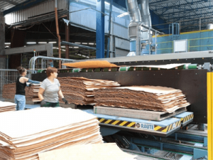 Оператор деревообрабатывающего оборудования, Paged Pisz