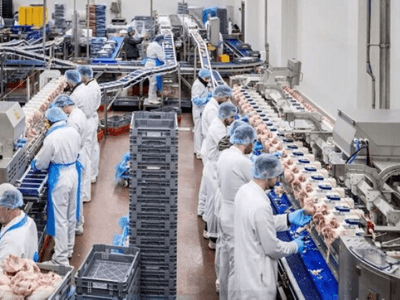 Робота на обробленні свинини, Michna Meat