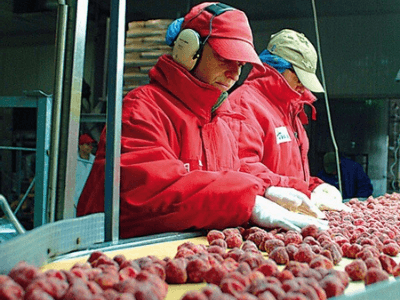 Переработка фруктов, POLARICA