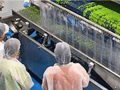 Produkcja mrożonych warzyw i owoców jagodowych, Masfrost