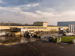 Przetwórstwo owoców i warzyw, REAL