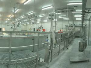 Pracownik fermy drobiu, PROSPER