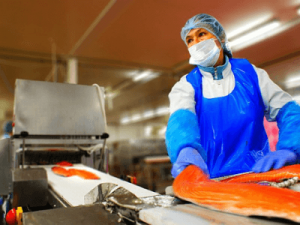 Очищение и нарезка филе рыбы, MIRKO