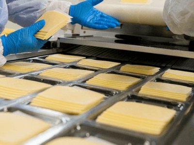 Производство сырной массы, ETOILA