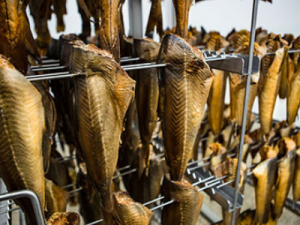 Переробка риби, HUR-POL