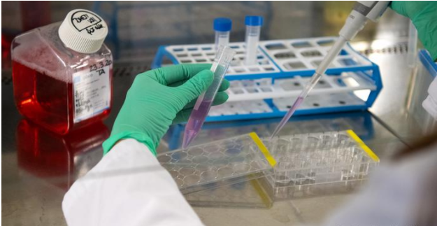 тест на ковід