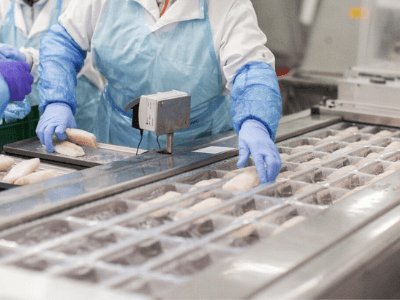 Упаковка замороженой рыбы, Nord Capital