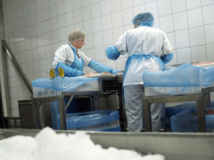 Производство колбасы, ROLPEK