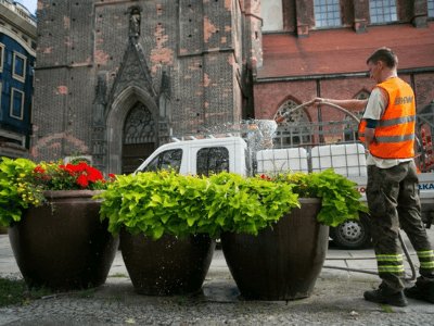 Догляд за територією, BKW