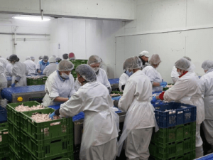 Производство корма для животных, SMS FOOD