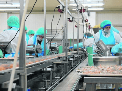 Виробництво закусок, PERLA