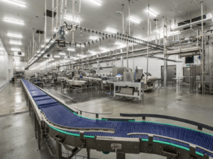 Розбирання курки, RSP NOWOŚĆ