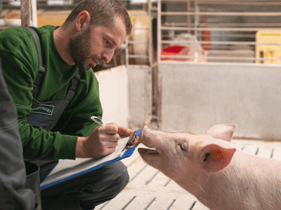Пакувальник на складі суші, Sushi Factory