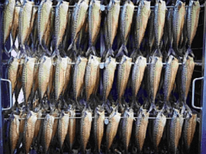 Produkcja wędzonej makreli, KARI