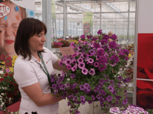 Pielęgnacja roślin, VITROFLORA