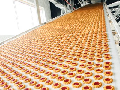 Производство печенья, бисквитов, песочного печенья и пряников, DELICPOL