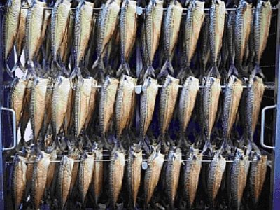 Виробництво копченої скумбрії, KARI