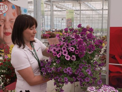 Pielęgnacja roślin, VITROFLORA