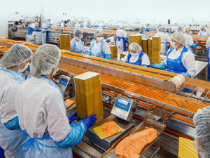 Упаковка лосося в лоточки, MILAREX