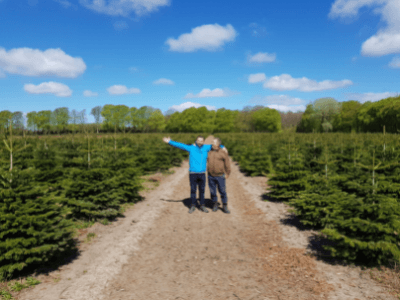 Уход ха деревьями, ABC MOSTY