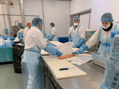 Переработка рыбы, HANSEATIC